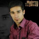 وبلاگ شخصی مهران تقوی